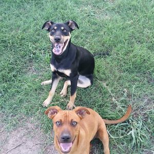 Meet your Posher, Granny